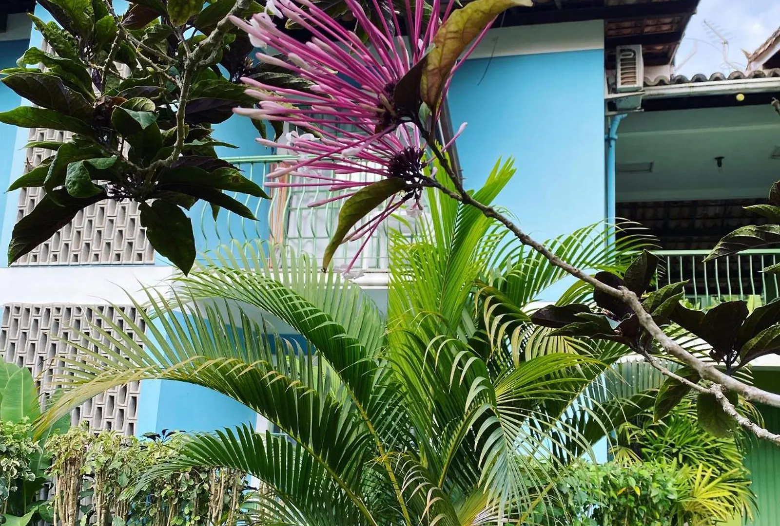 Appartamento Flores Da Aldeia Porto Seguro